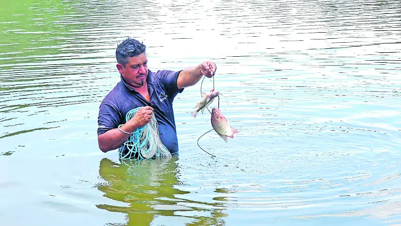 La pesca vuelve a dar frutos.